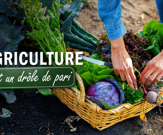 Replay L'agriculture, c'est un drôle de pari