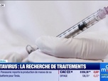 Replay Good Morning Business - Hantavirus : la recherche de traitements